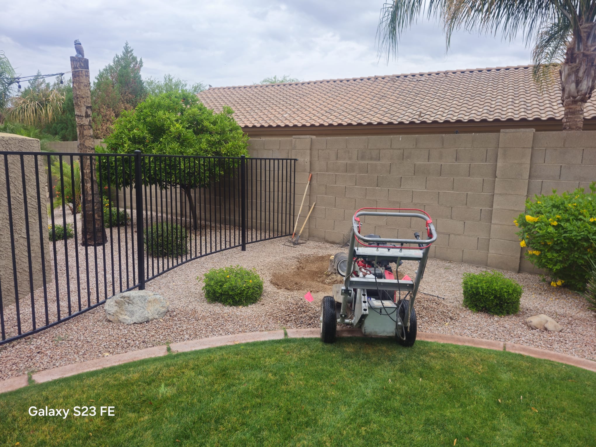 WhatsApp Image 2025-05-08 at 10.54.05_cf2ae03a