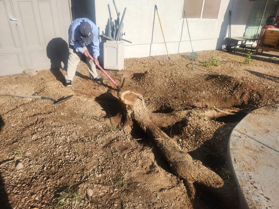 WhatsApp Image 2025-05-08 at 10.54.05_d8cae4cd