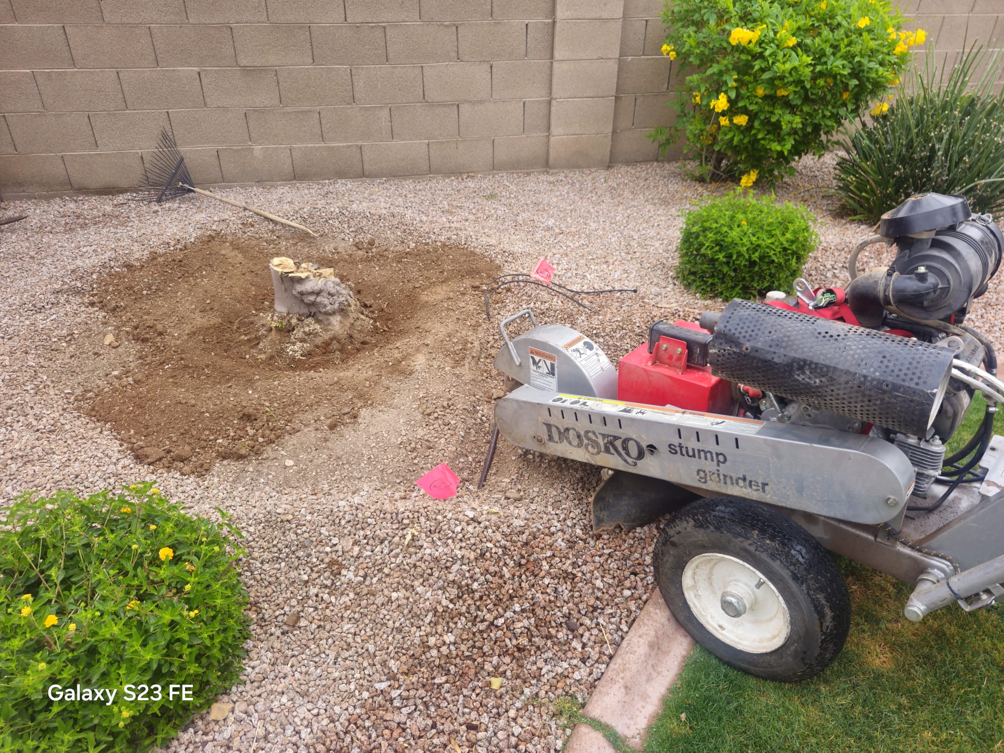 WhatsApp Image 2025-05-08 at 10.54.05_fbefcff1